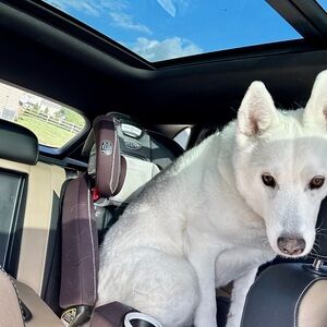 Meet your Posher, Sage